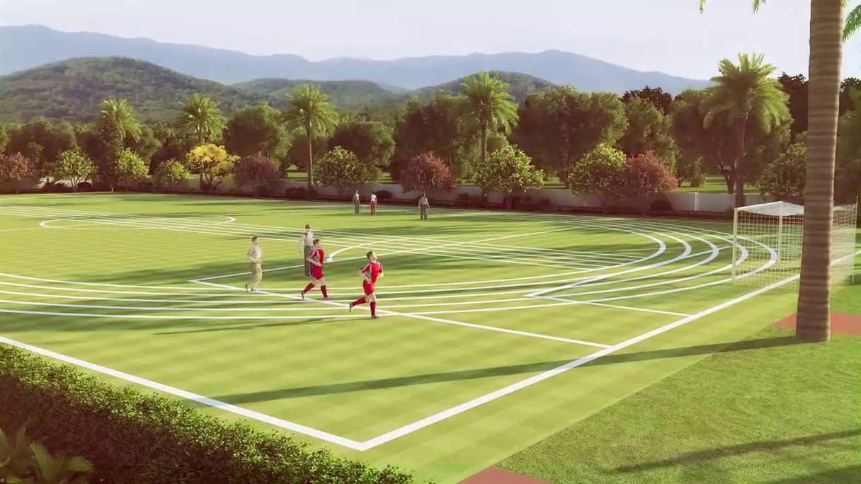 Luxury garden landscaping